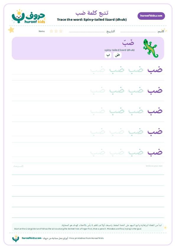 Spiny-tailed lizard (dhub) in Arabic: ضب – huroofkids.com