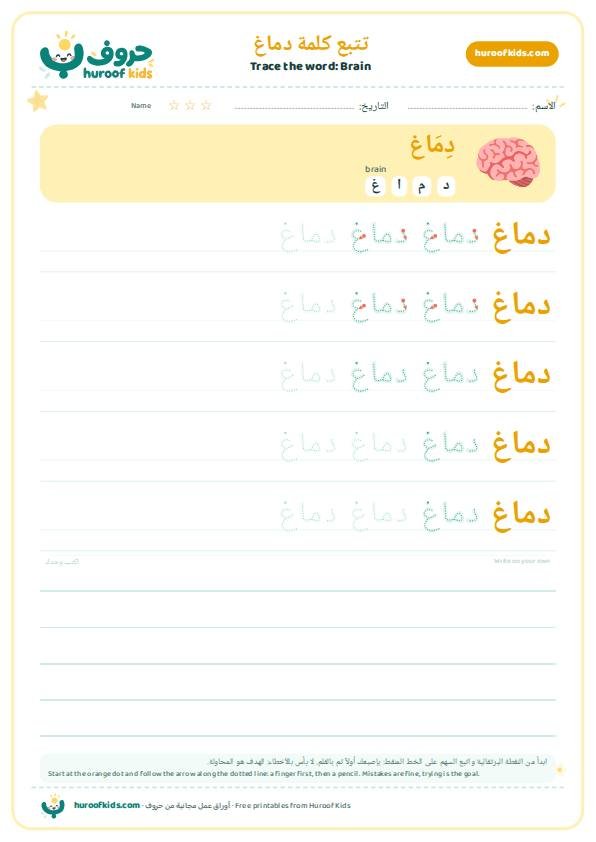 تتبع كلمة دماغ – huroofkids.com