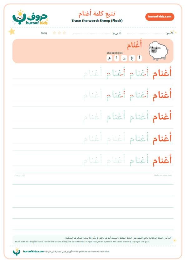 Sheep (flock) in Arabic: أغنام – huroofkids.com