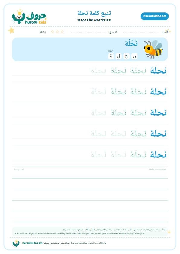 Bee in Arabic: نحلة – huroofkids.com