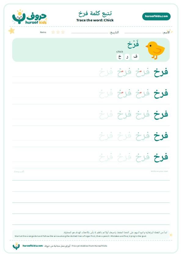 Chick in Arabic: فرخ – huroofkids.com