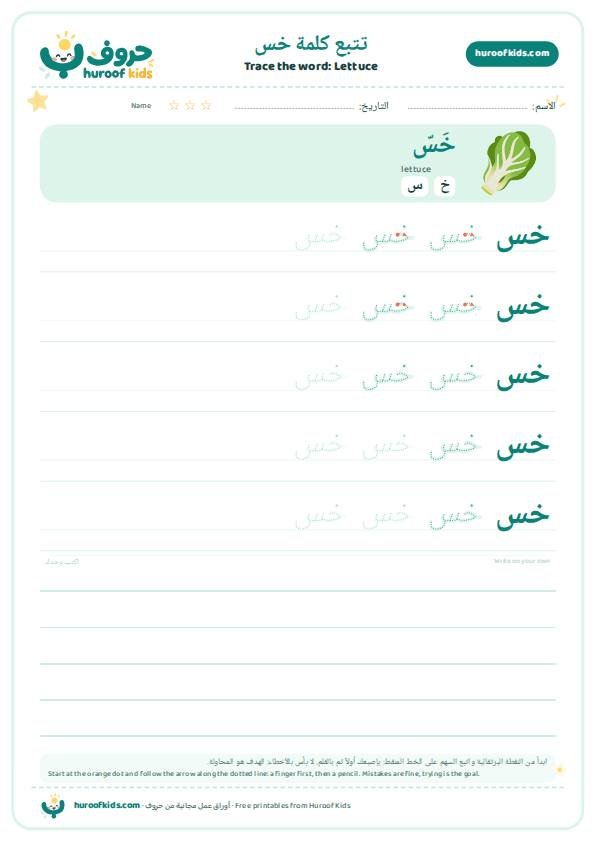 Lettuce in Arabic: خس – huroofkids.com