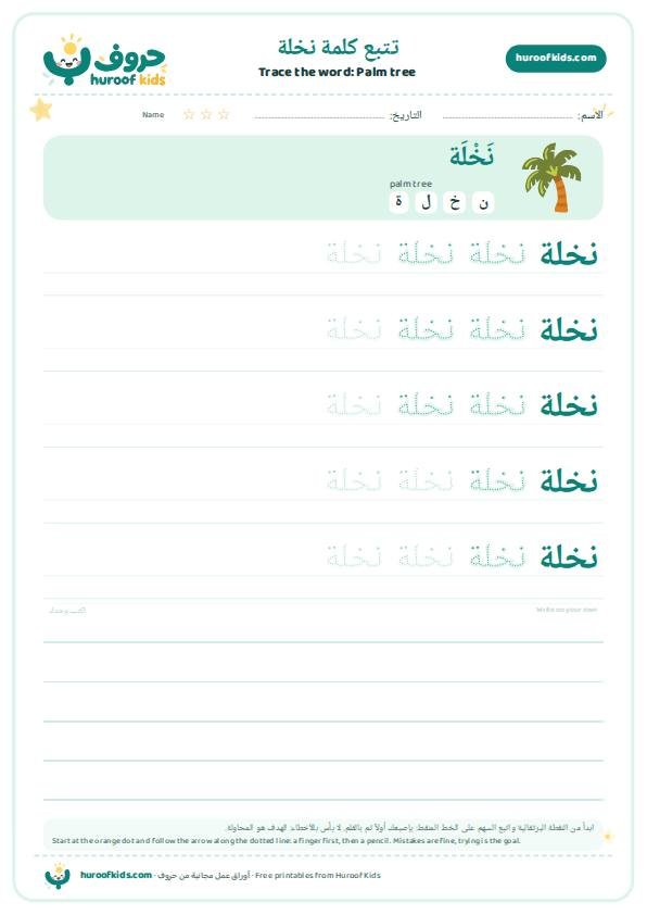 Palm tree in Arabic: نخلة – huroofkids.com