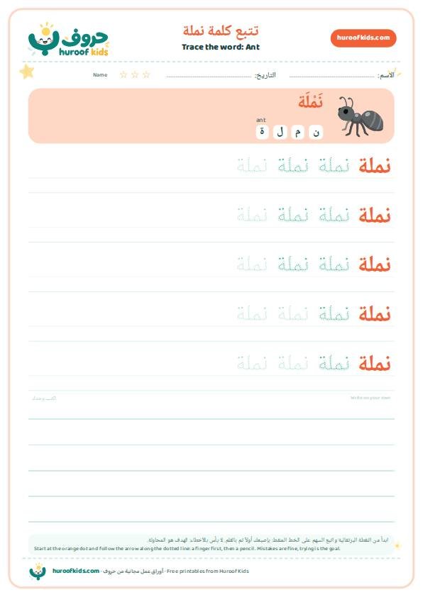 Ant in Arabic: نملة – huroofkids.com