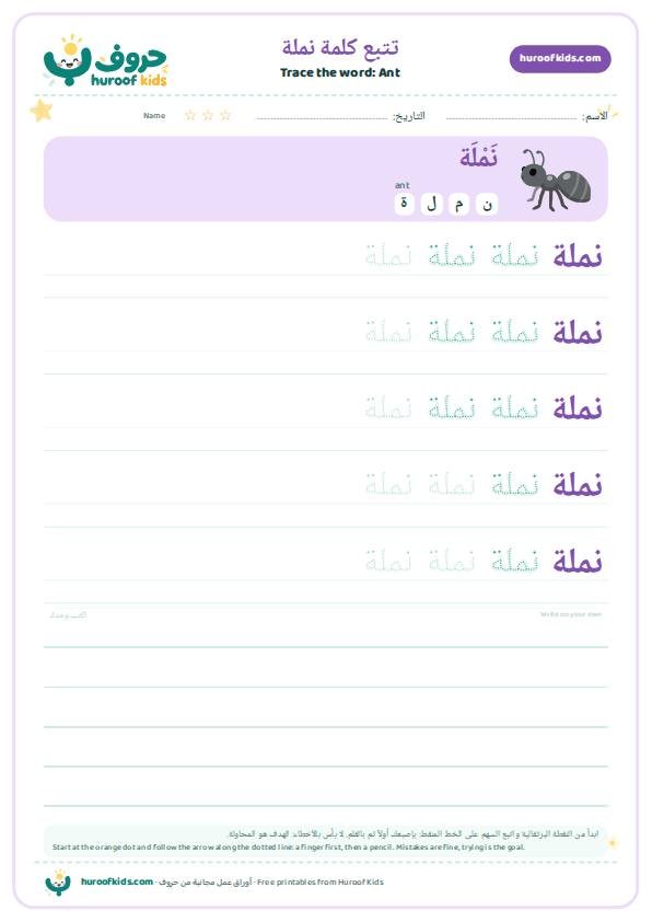 Ant in Arabic: نملة – huroofkids.com