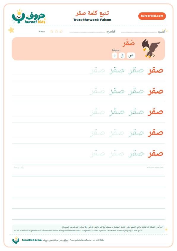 تتبع كلمة صقر