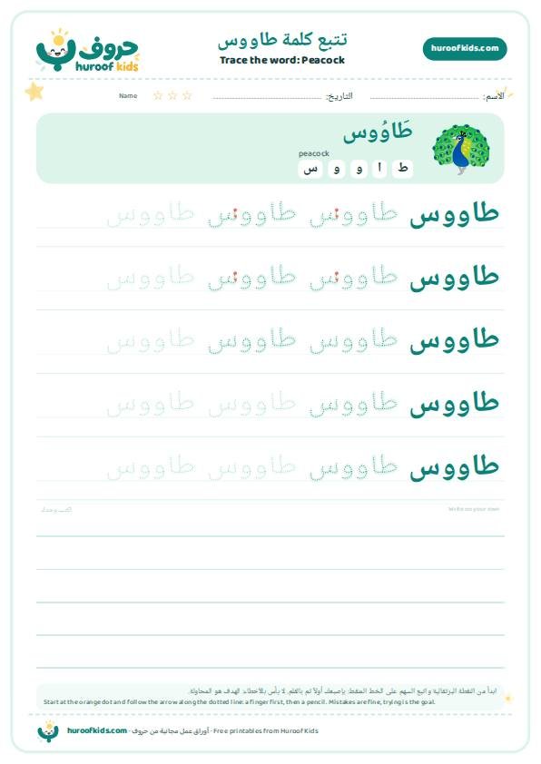 Peacock in Arabic: طاووس – huroofkids.com