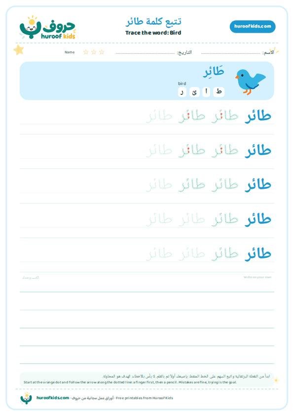 Bird in Arabic: طائر – huroofkids.com