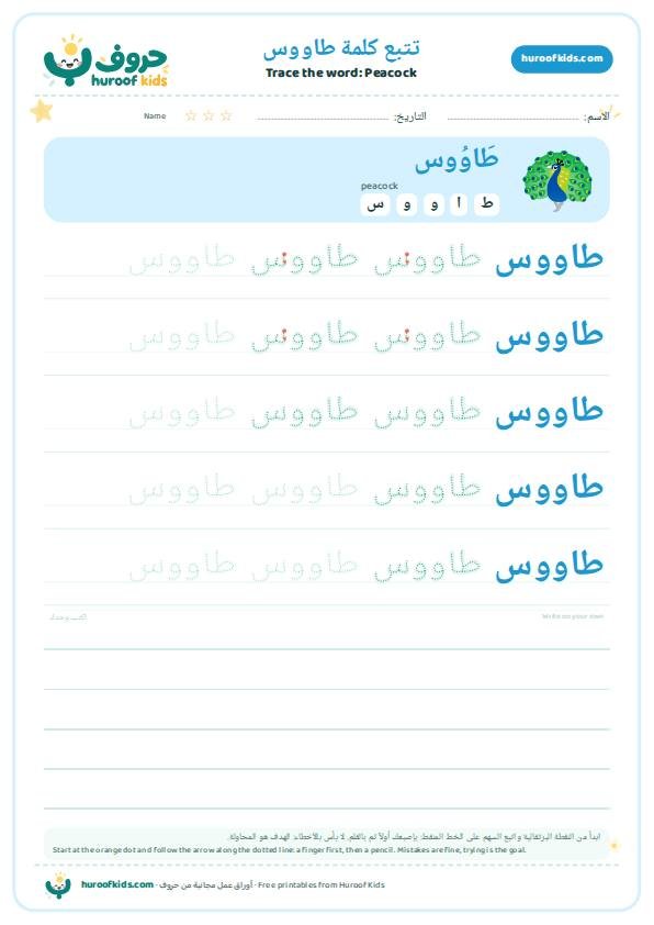 تتبع كلمة طاووس – huroofkids.com