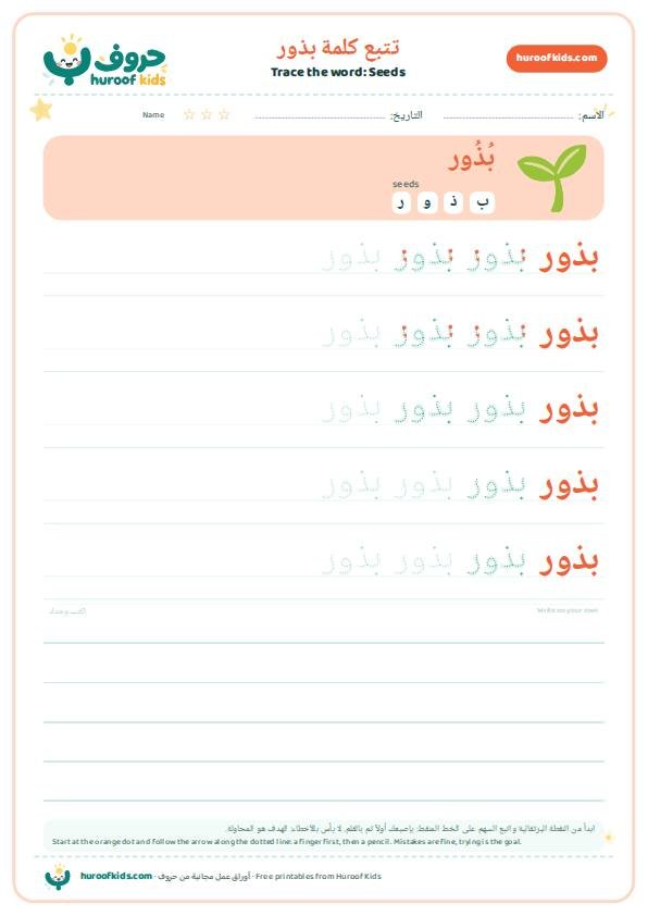 Seeds in Arabic: بذور – huroofkids.com