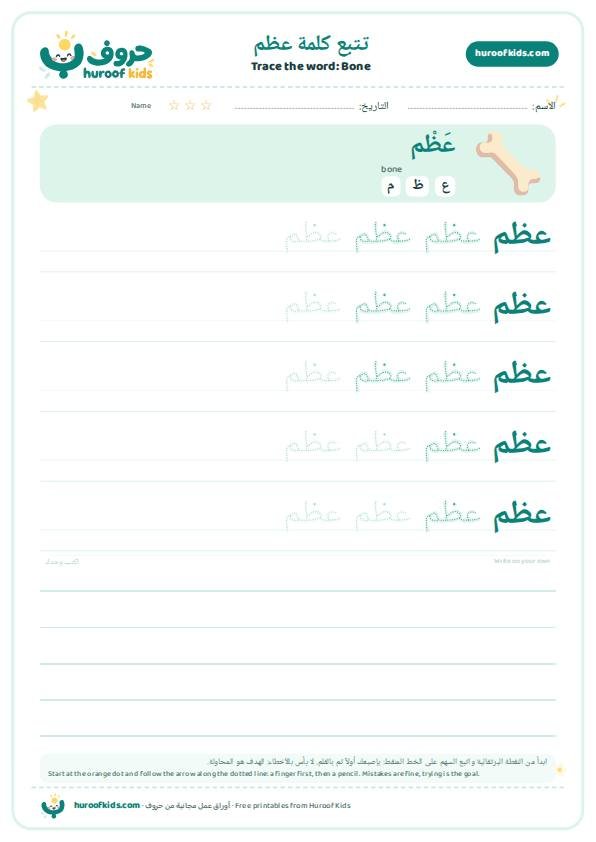 Bone in Arabic: عظم – huroofkids.com